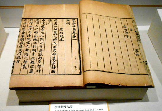 中国古籍数字化现状 守护文化传承之根
